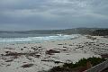 Carmel 10-30-08 238